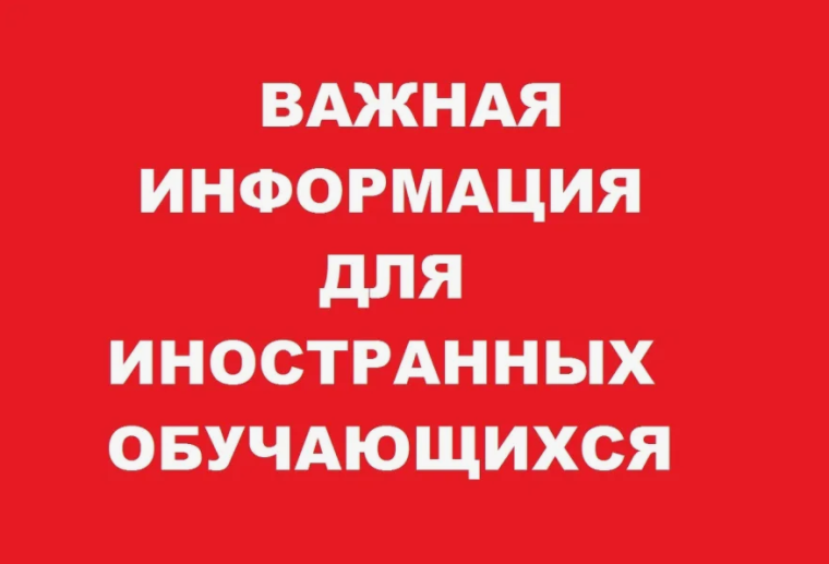 С 1 апреля 2025 года изменяются правила приема в школы иностранных граждан.